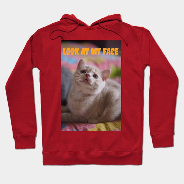 the cats want you to look at her face Hoodie by kunasin